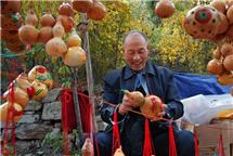 《我的爷爷“葫芦王”》