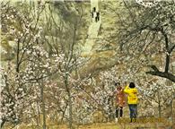 杏花如雪报春归