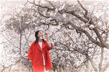 杏花园里有佳人