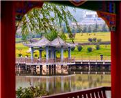 亭台柳飘入画来