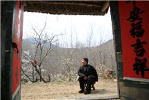 桃花依旧笑春风