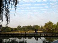 明媚天河2