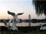 新湖日落3