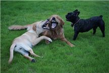 逗你玩
