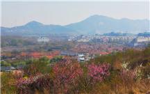 山村春色
