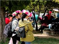 花季少女