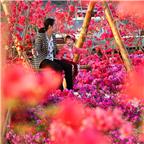 鲜花