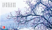春暖花开