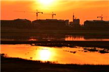 沽河夕阳