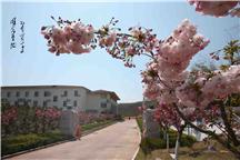 曙光基地