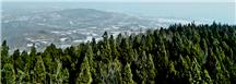 原野春雪1