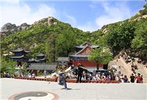 仙境摆擂台