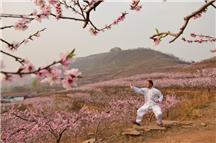 拾趣春意浓