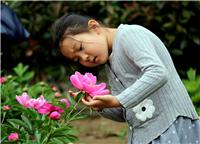 赏花的小女孩