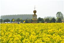 满园春色