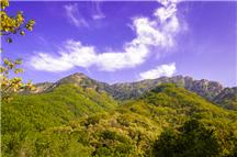 泰山之春