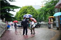 雨中情