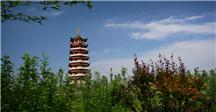 《雷锋塔》 摄影：王鲁生