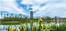 方特活动30