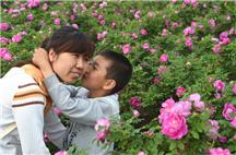 母子情深