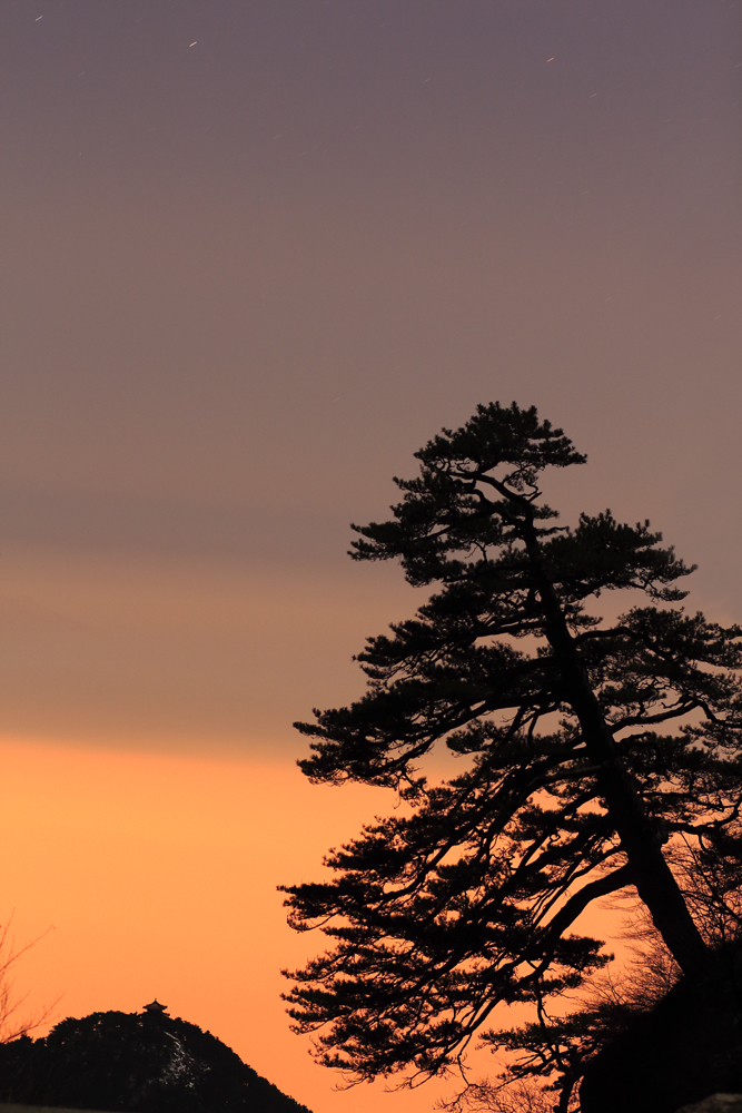 琼台星语-孔子故乡 中国山东国际网络摄影大