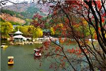 满园秋色关不住