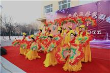 欢欢喜喜迎新年