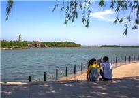 碧水.绿荫.恋人影