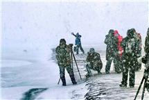 暴雪中的“天鹅卫士”