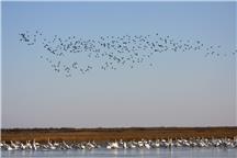 《黄河口天上人间》