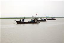 《黄河口湿地》