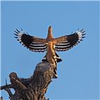 泰坦尼克号————我心永恒