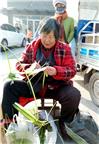 街头编植艺人