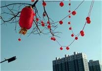 新年挂满红灯笼