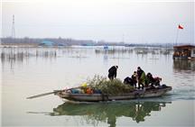 满载年货过大年