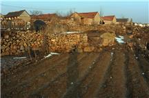 老家  老街   老房子