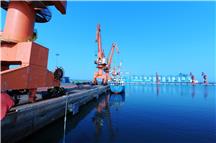 码头之雄丽之三