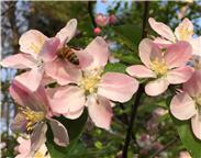 为谁辛苦为谁甜