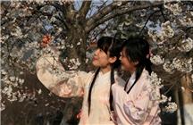 《醉美花枝间1》