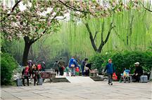 《五龙潭畔海棠红》3