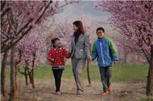 梅花盛开的季节