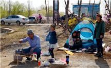 桃花园林香气飘