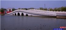 夏津风光