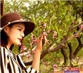 德州美女
