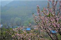 小山村的春天