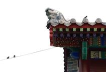 母与子