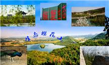 生态樱花山