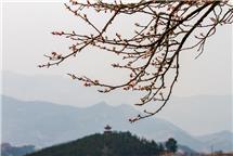 春回大地
