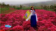 花仙子