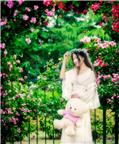 五月花开